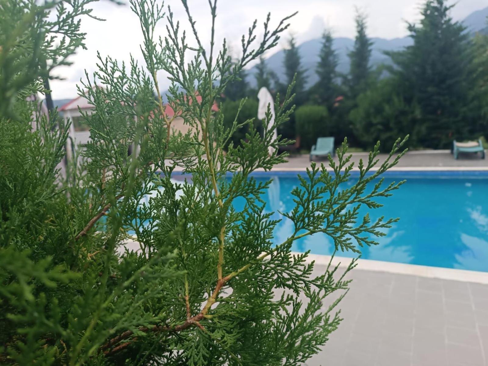 Gabala Bliss Inn Hotel And Restaurant Kültér fotó