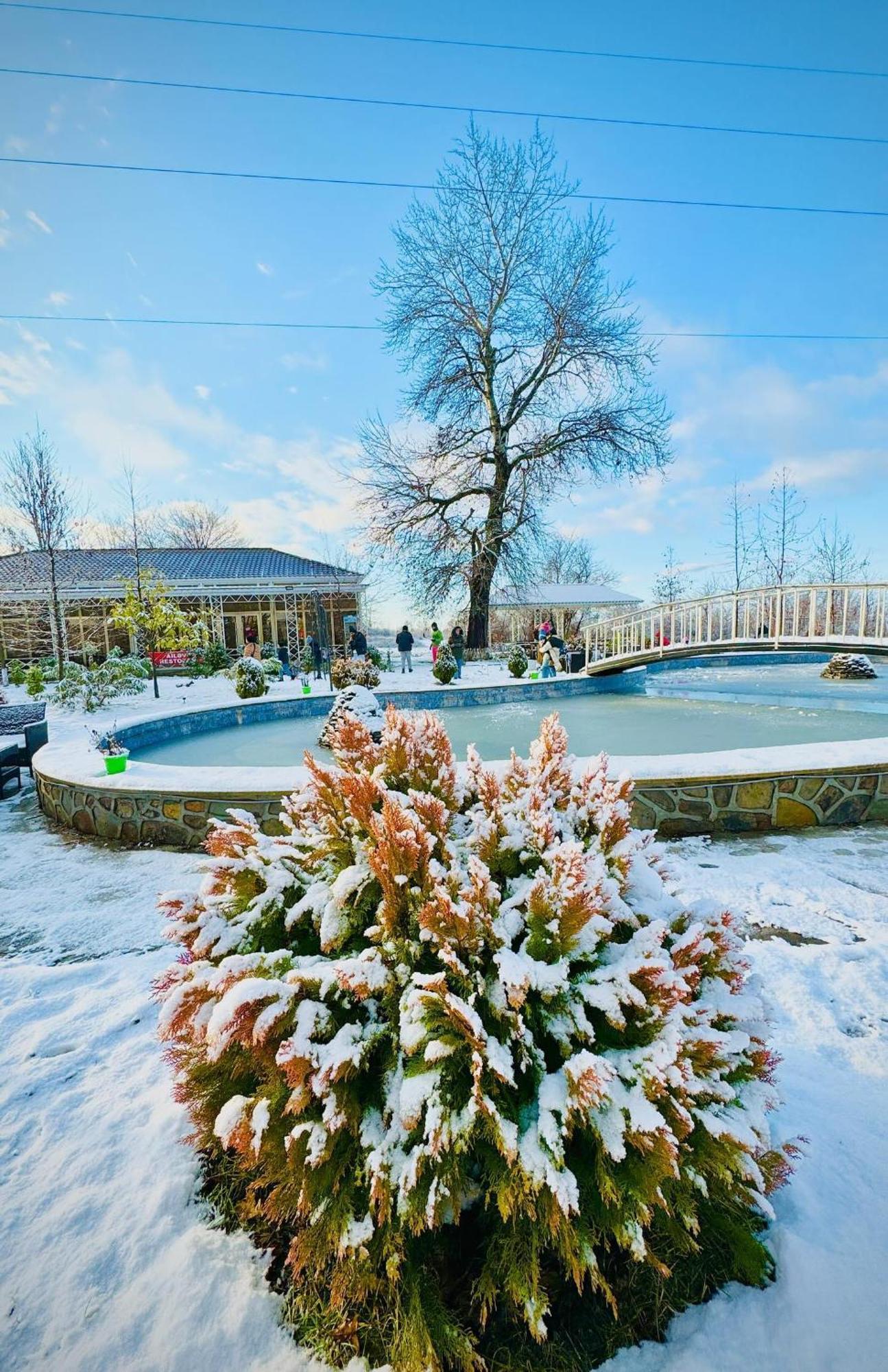 Gabala Bliss Inn Hotel And Restaurant Kültér fotó
