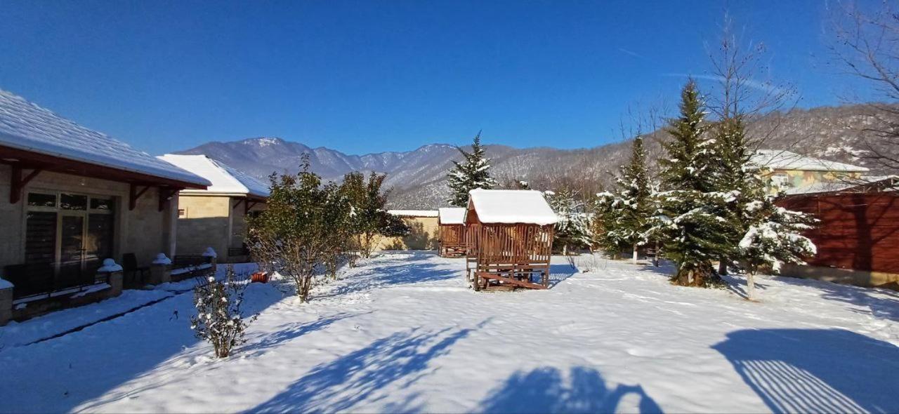 Gabala Bliss Inn Hotel And Restaurant Kültér fotó